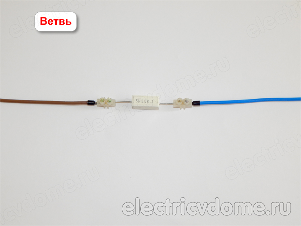 ветвь электрической цепи