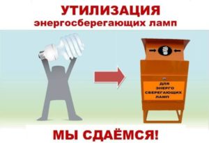 Ртутные лампы сдаем в пункт приема